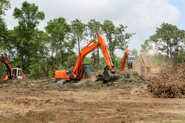 Professional land clearing