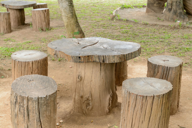 Ideas for Utilizing an Old Tree Stump