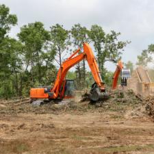 Enjoy All the Benefits That a Professional Land Clearing Can Offer