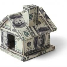 What Trees Can Increase Your Northeast Ohio Home’s Value?