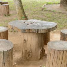 Ideas for Utilizing an Old Tree Stump