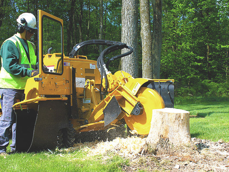 Stump grinding