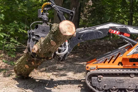 Tree cutting vs tree removal whats the difference and which do you need