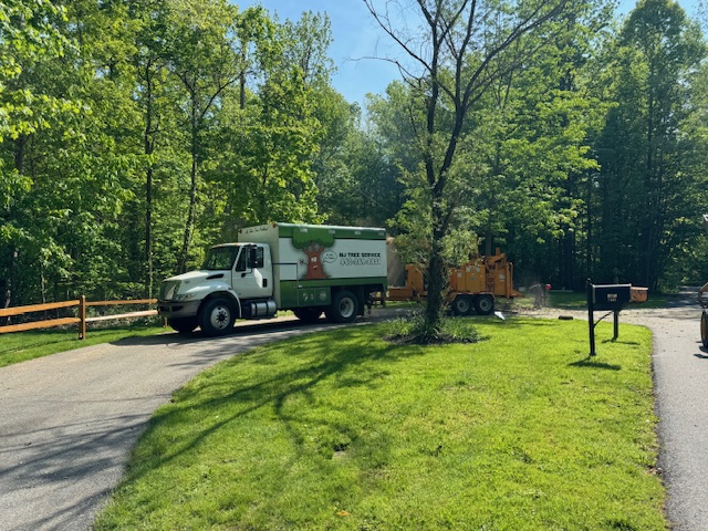 Hazardous Tree Removal In Gates Mills, Ohio