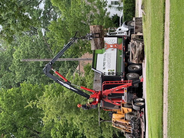 Storm damage tree and stump removal in Euclid