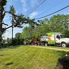 Tree-Trimming-in-Mentor-Ohio 0