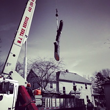 Trimming-Trees-in-Cleveland 0