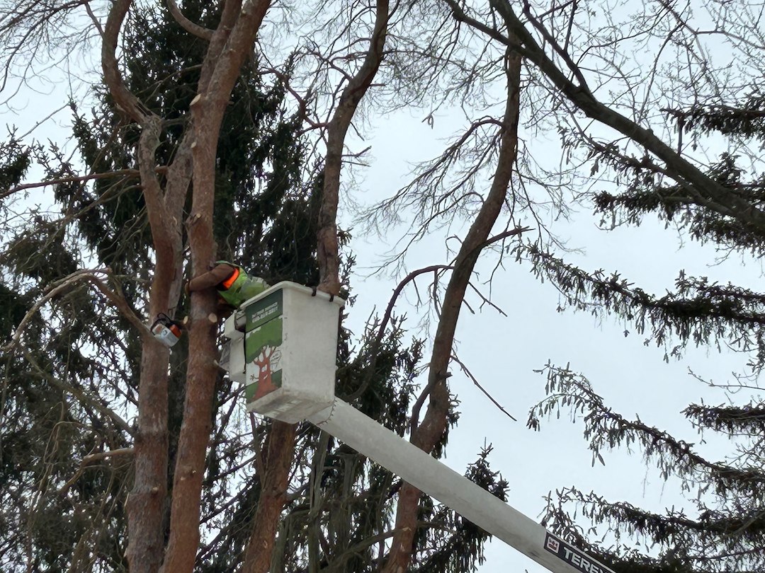 Winter Tree Removal in Pepper Pike