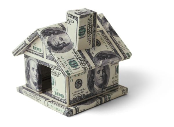 What Trees Can Increase Your Northeast Ohio Home’s Value?